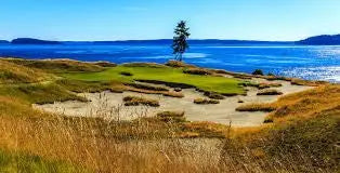 Our-Favorite-Golf-Courses-Greater-Seattle-Area-2015 Ace of Clubs Golf Company